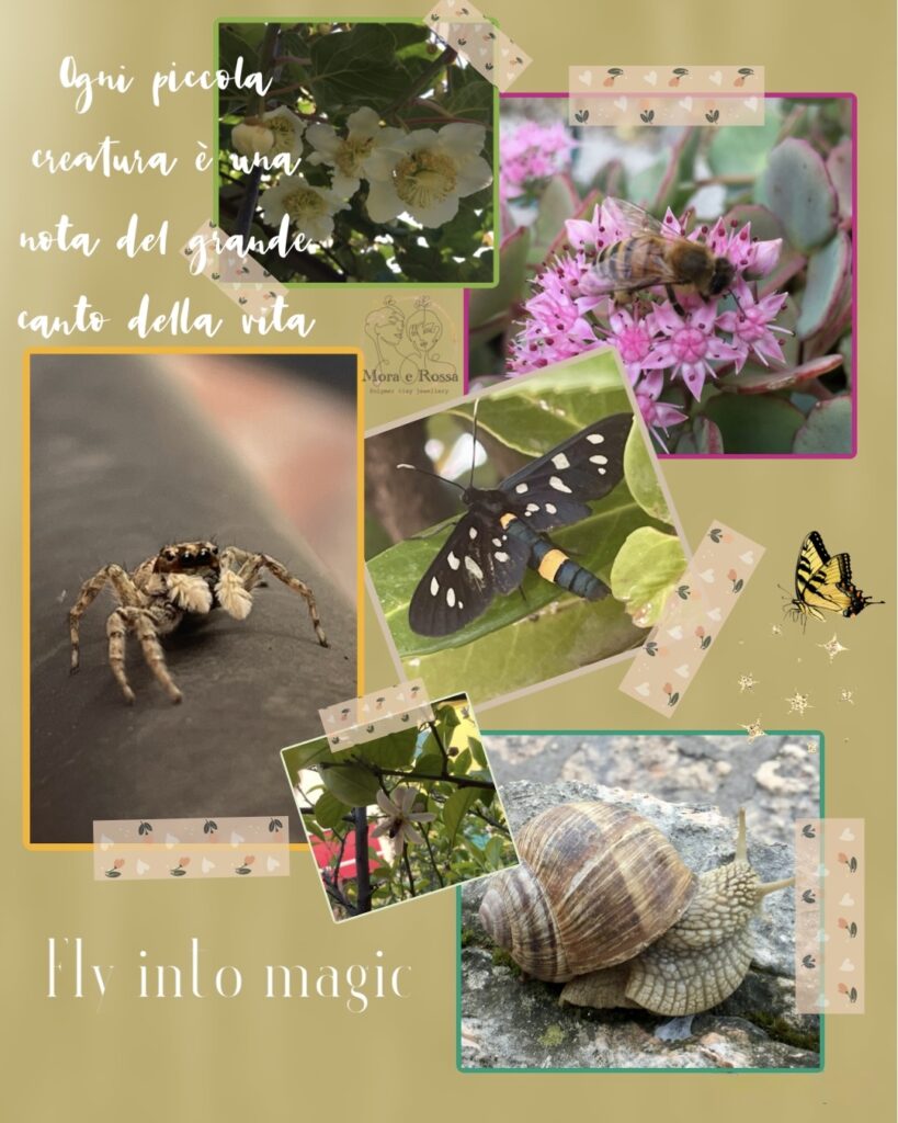 La mia libreria fotografica con scatti rubati a flora e fauna, quando la natura diventa musa, ispirazioni naturali